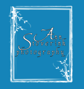 Ann Stoverink Photography